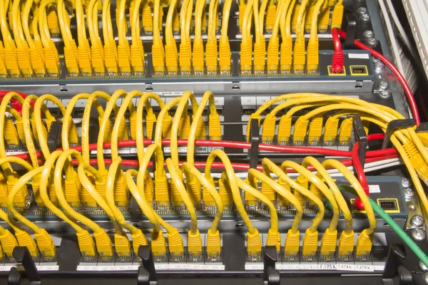 Yellow network cables — Stock Photo, Image