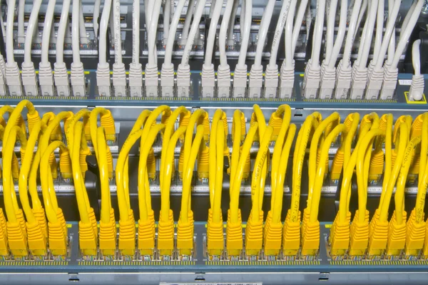 Gele en witte netwerkkabels — Stockfoto