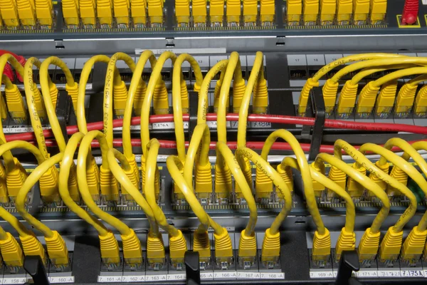 Желтые сетевые кабели — стоковое фото