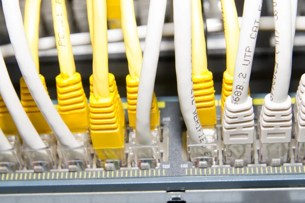 Žluté a bílé síťové kabely — Stock fotografie