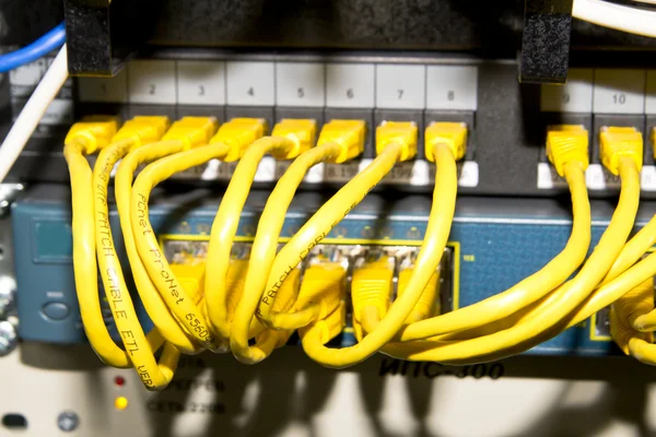 Yellow network cables — Stock Photo, Image