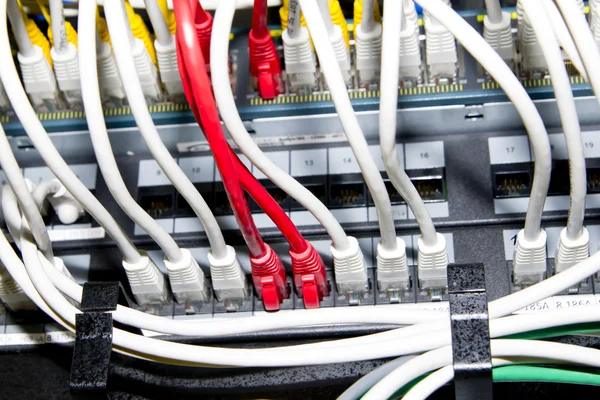 Kırmızı ve beyaz ağ kabloları — Stok fotoğraf