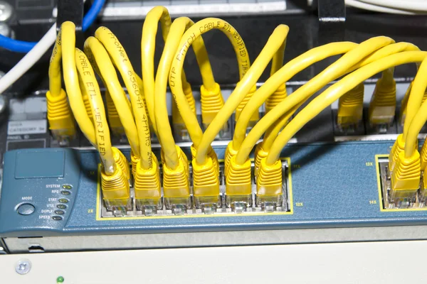 Sarı ağ kabloları — Stok fotoğraf