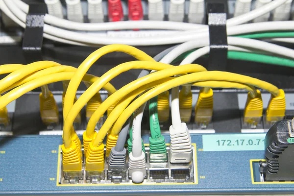 Žlutá síťové kabely — Stock fotografie