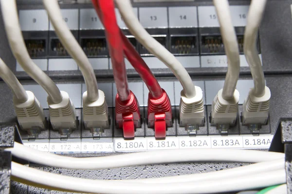 Красно-белые сетевые кабели — стоковое фото