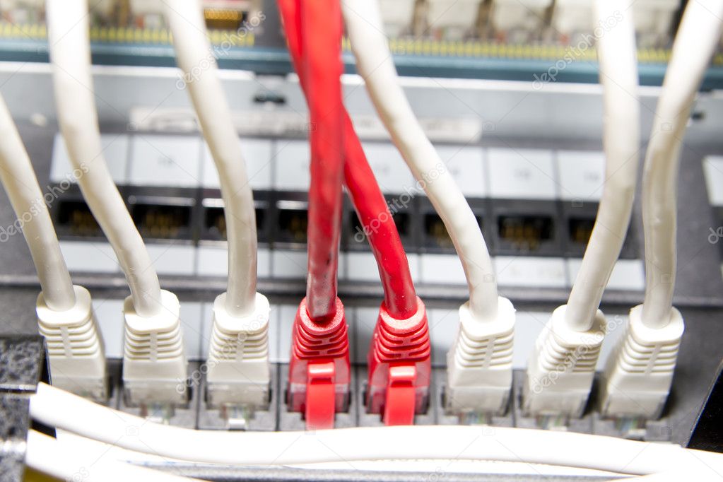 Red and white network cables