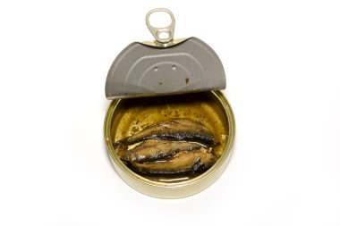 Can with sprats on a white background