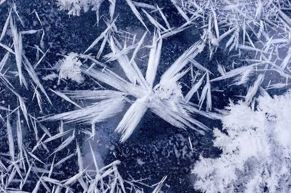 Snowflake on the ice. — Stock Photo, Image