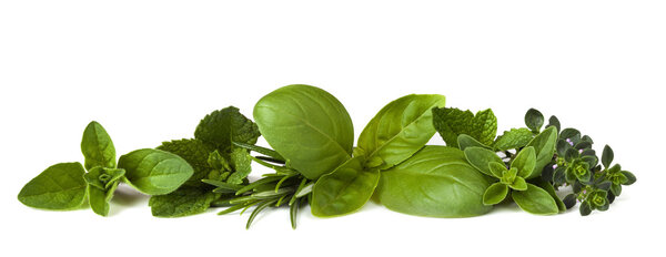 Herb Border on White