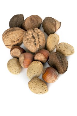 Mixed Nuts clipart