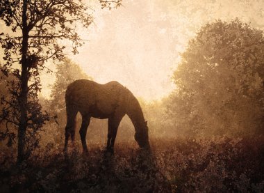 Silhouette of a grazing horse against sunrise clipart