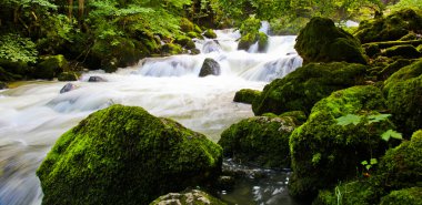 Swiss River Rapids