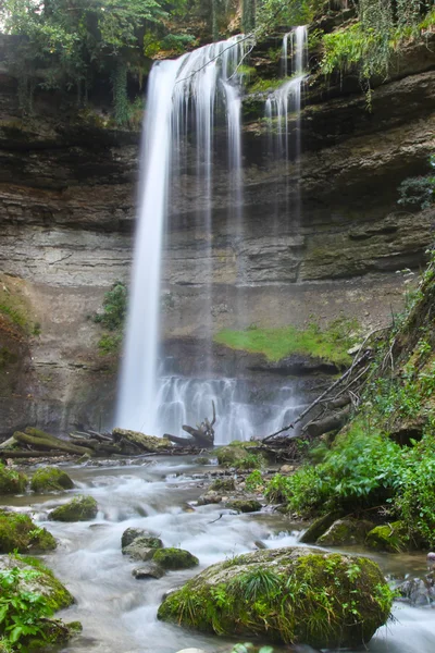 stock image Swiss Waterfall