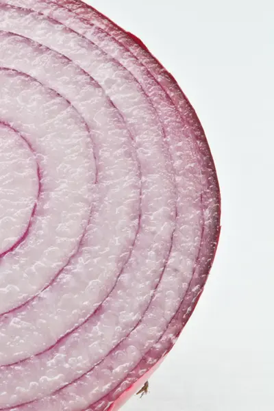 stock image Onion Rings