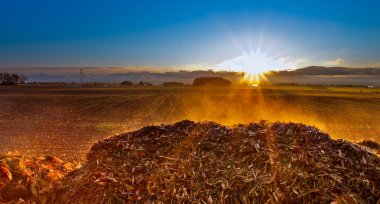 Morning sun rising at newly harvested wheat farm clipart