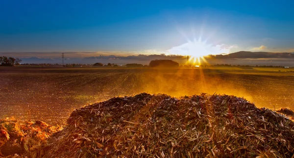 Ranní východ slunce na čerstvě sklizené farmu — Stock fotografie