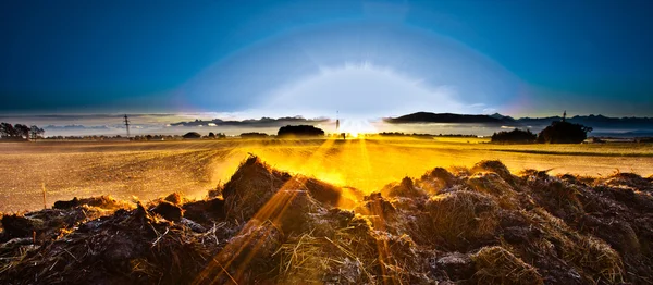 Sol da manhã nascendo na fazenda de trigo recém-colhida — Fotografia de Stock