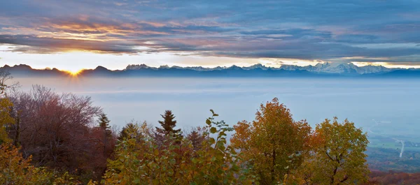 Bosque suizo vista otoño — Foto de Stock