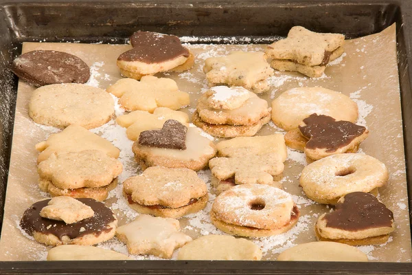 stock image Christmas Cookies