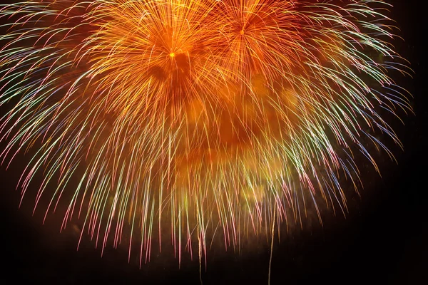 Colorful fireworks on a black sky — Stock Photo, Image
