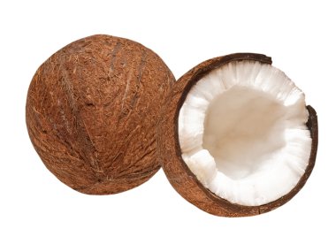 Coconut clipart