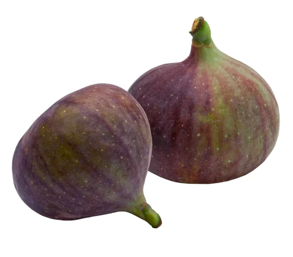 Fresh fig fruit — Stock Photo, Image