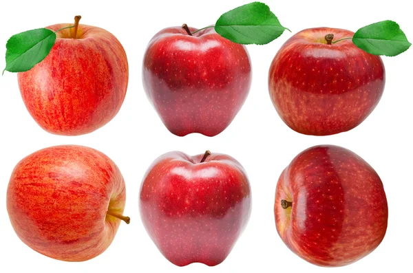 stock image Red apple