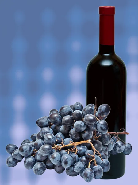 蓝色背景上的葡萄酒瓶 — 图库照片