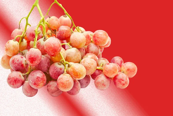 Виноград — стоковое фото