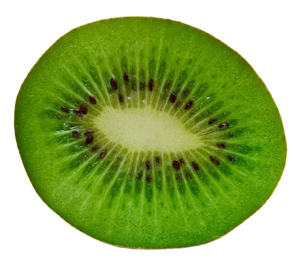 stock image Kiwi