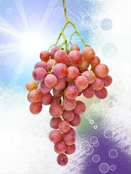 Виноград на ярком фоне — стоковое фото