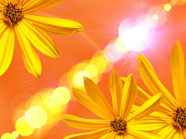 stock image Yellow flower