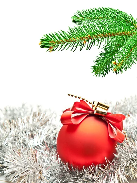 Branch of christmas tree Royalty Free Stock Images