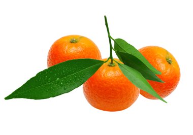 Mandarin