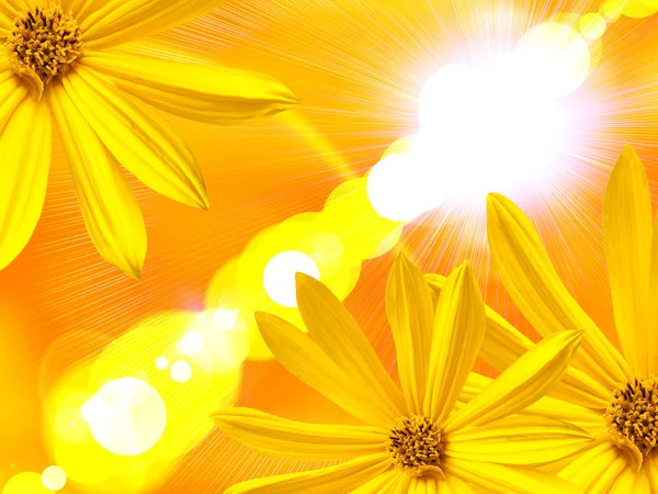 Bunga kuning — Stok Foto