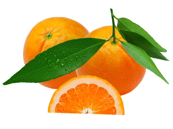 Оранжевый — стоковое фото