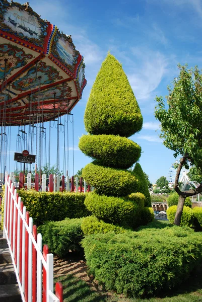 Tree in amusement park — Stock Photo, Image