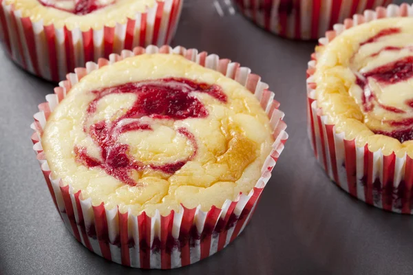 Fresh Cheesecake Muffin — Stock Photo, Image
