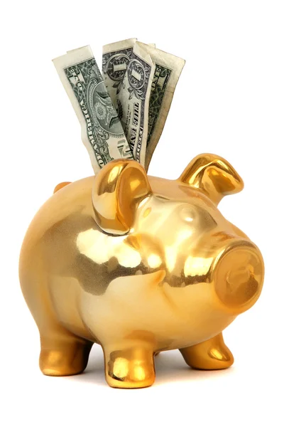 Dollar notes and piggy bank — Stock Photo, Image