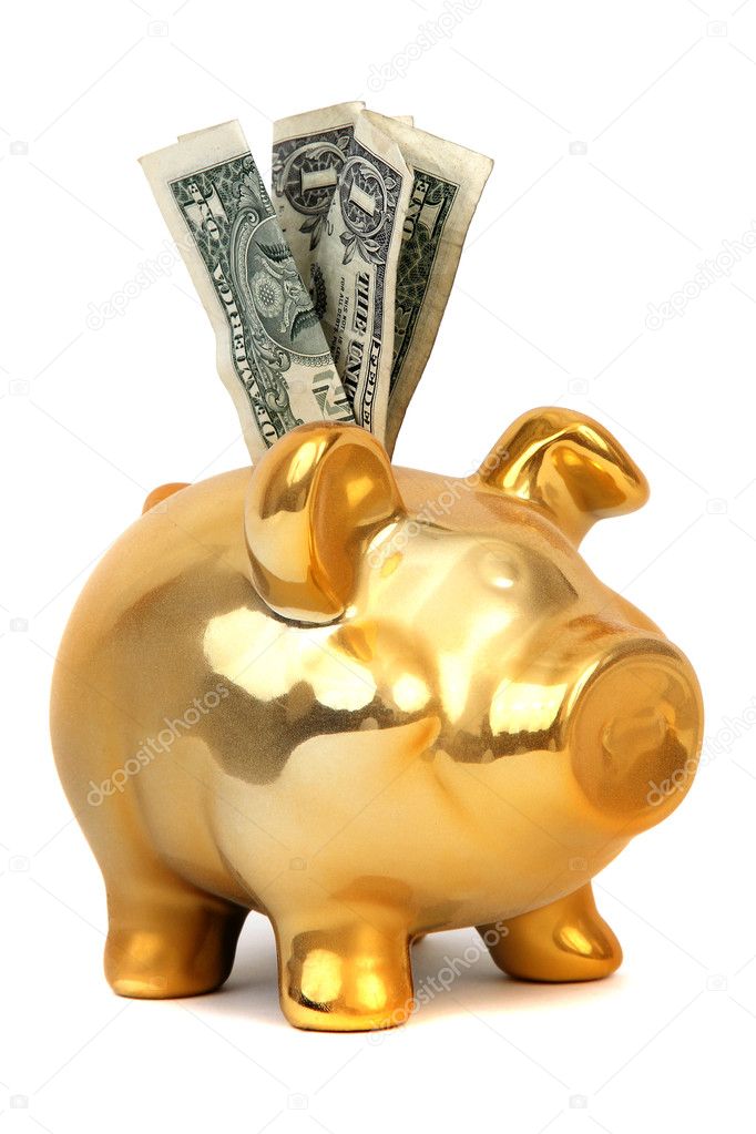Dollar notes and piggy bank