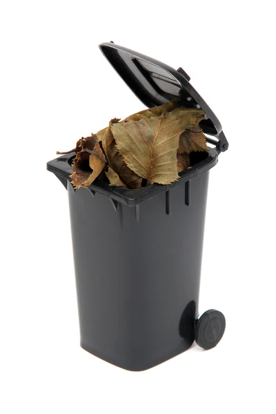 Органические отходы в черном мусорном ведре на белом — стоковое фото