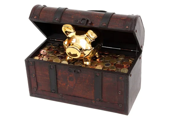 Prasátko a hrudníku s mincí — Stock fotografie