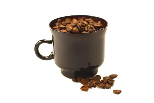 白底杯中的咖啡豆 — 图库照片