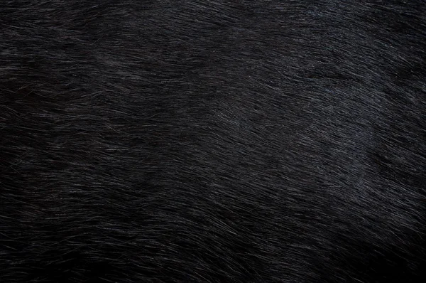 Black fur. Background — Stock Photo, Image