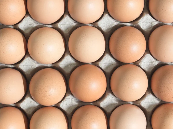 Tavuk yumurtası — Stok fotoğraf