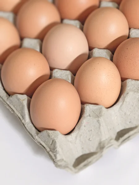 Huevos de pollo — Foto de Stock