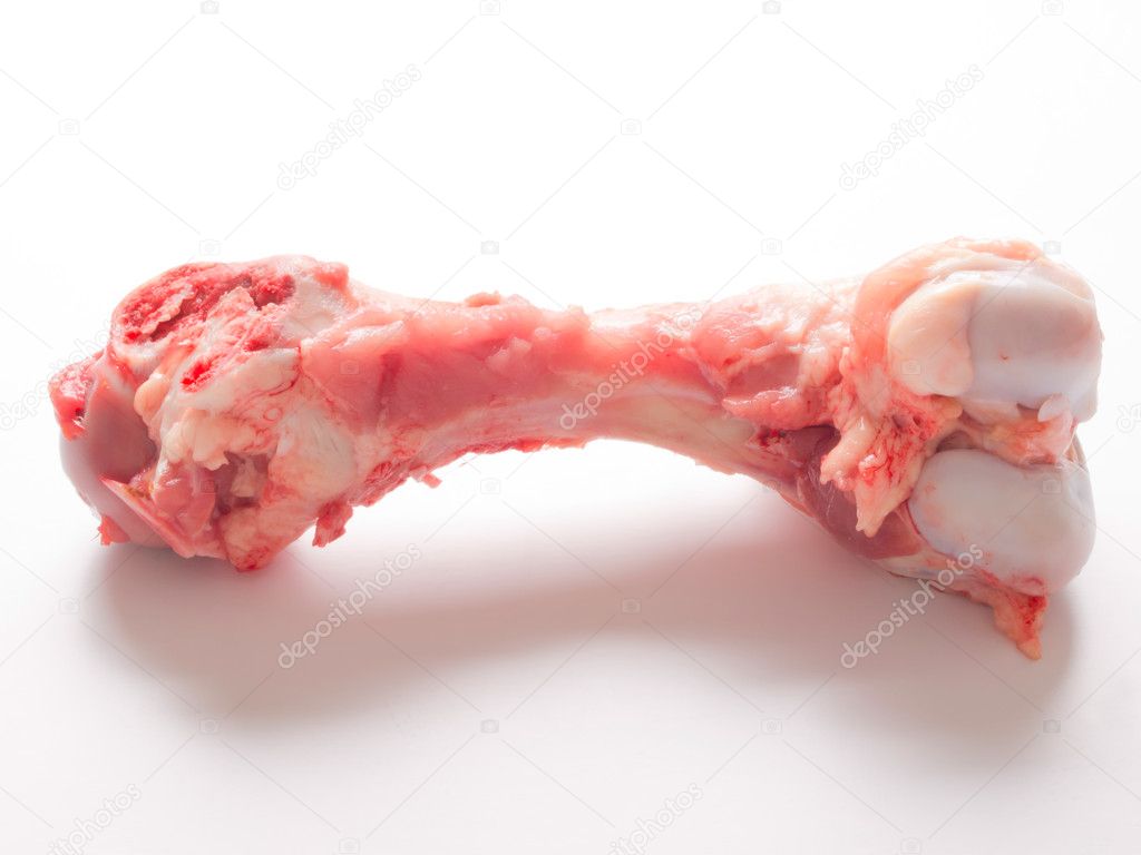Single pork bone on white