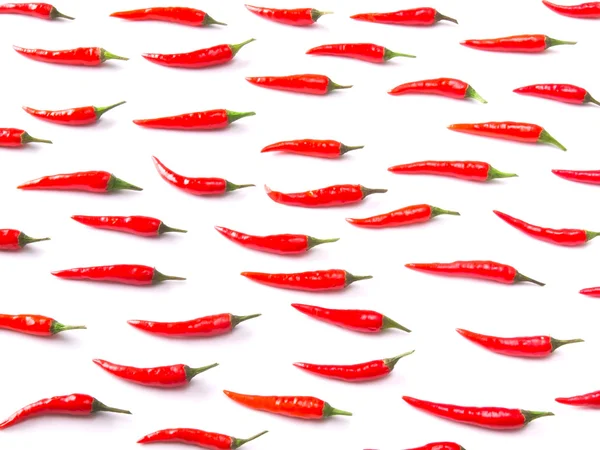 Red chili padi em branco — Fotografia de Stock
