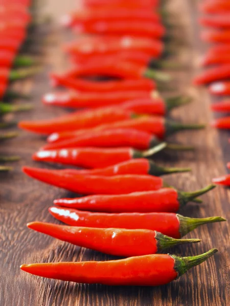 Padi ázsiai piros chili — Stock Fotó