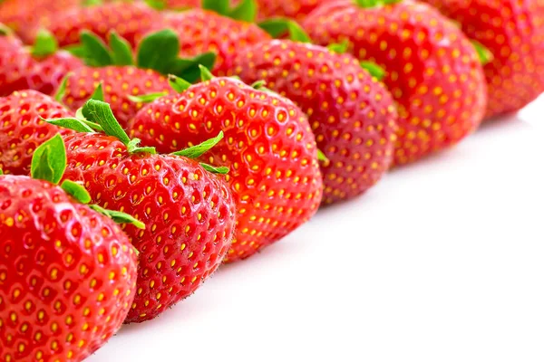 Strawberries in rows — Stock Photo, Image